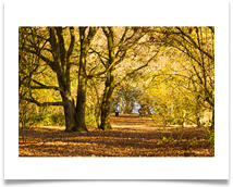 MARBURY COUNTRY PARK - Jan Hodson